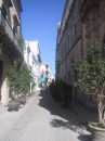 Passage * Weg vom Plaza de Armas zum Plaza de San Francisco. Man versucht, manche Straen anzuhbschen. Ich werde das Gefhl nicht los, das die Touristen zuknftig auf bestimmten Wegen durch Havanna gefhrt werden sollen, die natrlich alle in gutem Zustand sind. Das daraus resultierende Bild wre allerdings sehr knstlich und wrde den morbiden Charme, den diese Stadt ausstrahlt, zerstren. Hoffentlich wird das verhindert ! * 1200 x 1600 * (636KB)